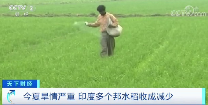 @外貿企業，這些措施助力保履約、保訂單及時交付！---安溪谷歌推廣-安溪谷歌優化-安溪外貿獨立站