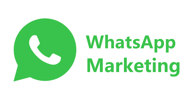 史上最全攻略！外貿人不可不知的WhatsApp破局秘籍---泉港外貿網站推廣-泉港googled 推廣-泉港google 優化